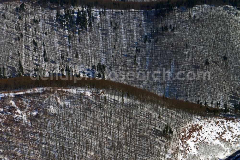 Frauenwald from above - View of a wintry snowy forest near Frauenwald in the state Thuringia