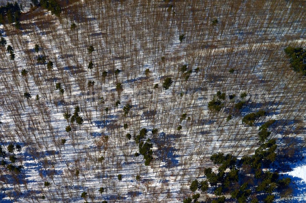 Frauenwald from above - View of a wintry snowy forest near Frauenwald in the state Thuringia