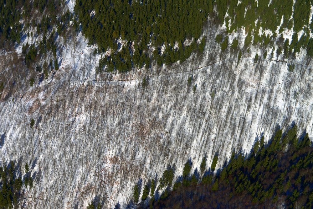 Schleusegrund from the bird's eye view: View of a wintry snowy forest near Schleusegrund in the state Thuringia