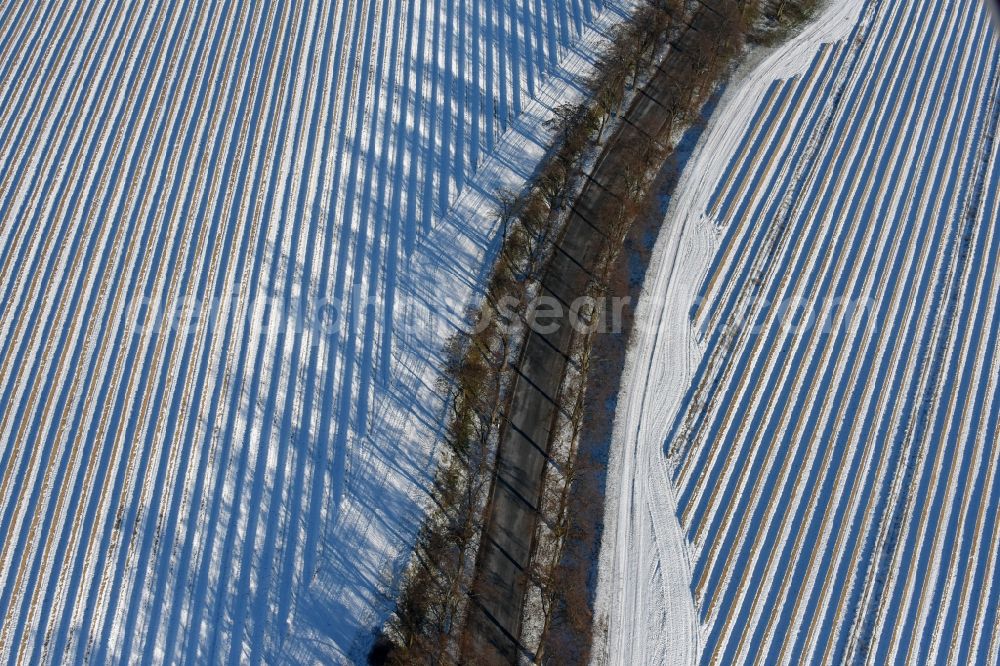 Aerial photograph Roskow - Winterly snowy rows with asparagus growing on field surfaces and tree-linde road whose trees cast long shadows in Luenow in the state Brandenburg