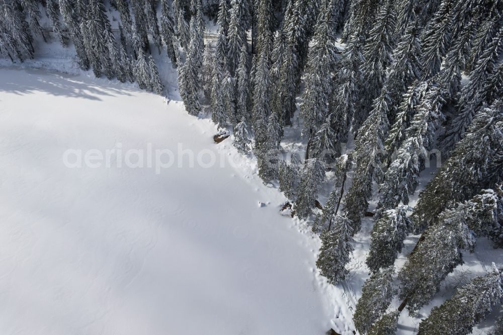 Aerial photograph Seebach - Wintry snowy Riparian areas on the lake area of Mummelsee in Seebach in the state Baden-Wuerttemberg