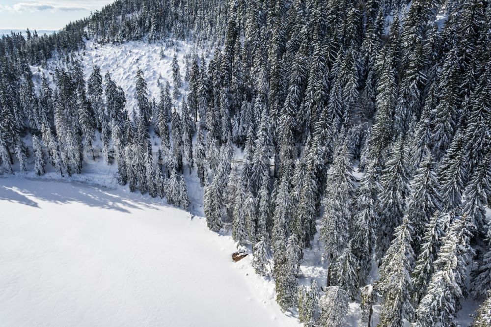 Seebach from above - Wintry snowy Riparian areas on the lake area of Mummelsee in Seebach in the state Baden-Wuerttemberg