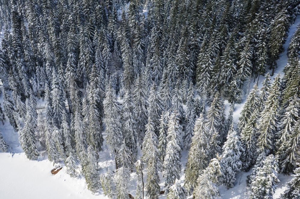 Seebach from the bird's eye view: Wintry snowy Riparian areas on the lake area of Mummelsee in Seebach in the state Baden-Wuerttemberg