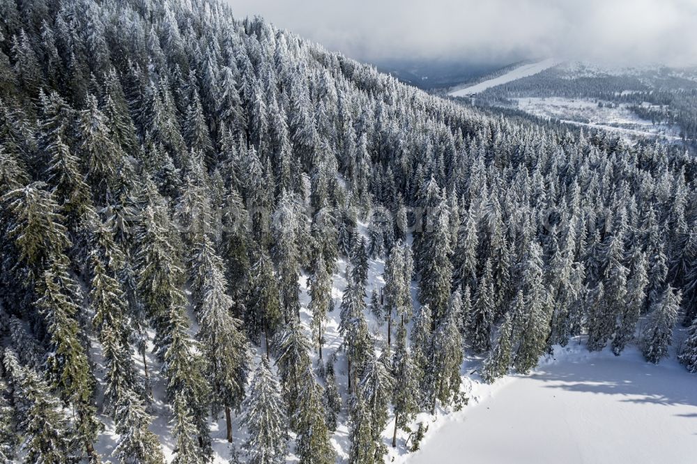 Aerial image Seebach - Wintry snowy Riparian areas on the lake area of Mummelsee in Seebach in the state Baden-Wuerttemberg