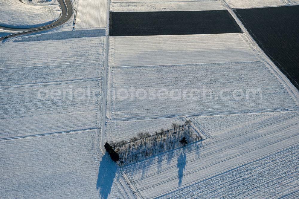 Scharnhausen from the bird's eye view: Wintry snowy island of trees in a field in Scharnhausen in the state Baden-Wuerttemberg, Germany