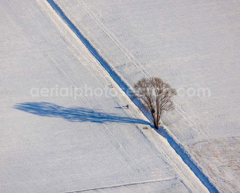 Aerial image Osttünnen - Wintry snowy tree with shadow forming by light irradiation on a field in Osttuennen at Ruhrgebiet in the state North Rhine-Westphalia, Germany