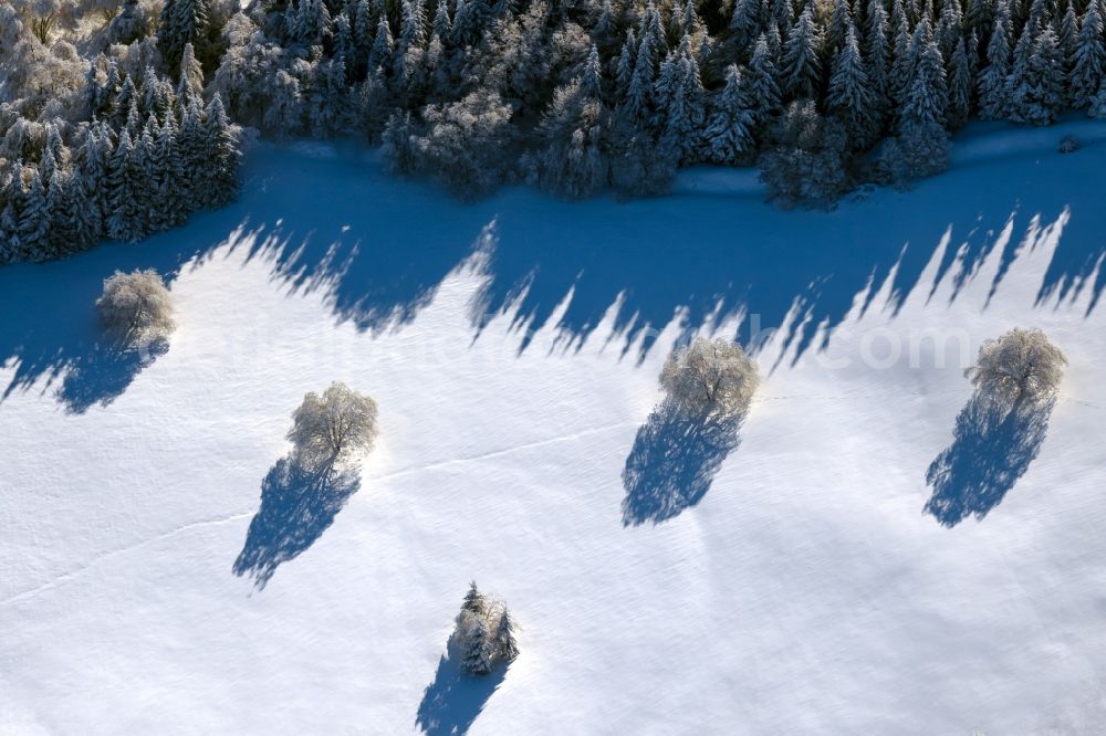 Gersfeld (Rhön) from the bird's eye view: Wintry snowy tree with shadow forming by light irradiation on a field in Gersfeld (Rhoen) in the state Hesse, Germany