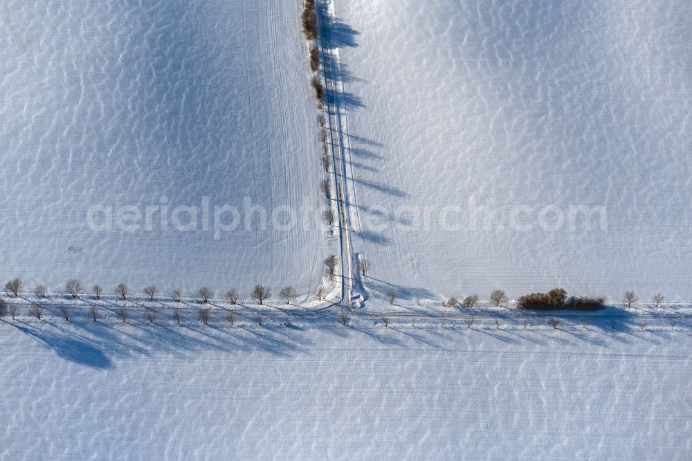 Aerial image Kelbra (Kyffhäuser) - Wintry snowy row of trees in a field edge in Kelbra (Kyffhaeuser) in the state Saxony-Anhalt, Germany