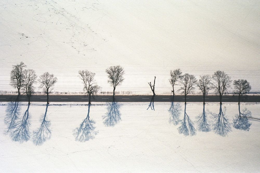 Netzen from above - Wintry snowy Row of trees in a field edge in Netzen in the state Brandenburg, Germany