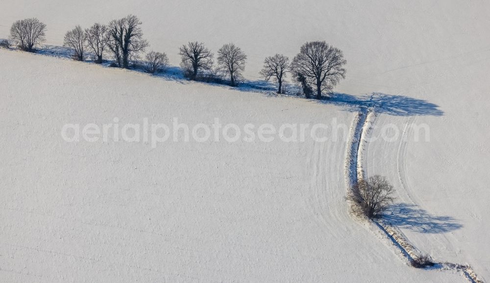 Unna from the bird's eye view: Wintry snowy row of trees in a field edge in the district Afferde in Unna at Ruhrgebiet in the state North Rhine-Westphalia, Germany