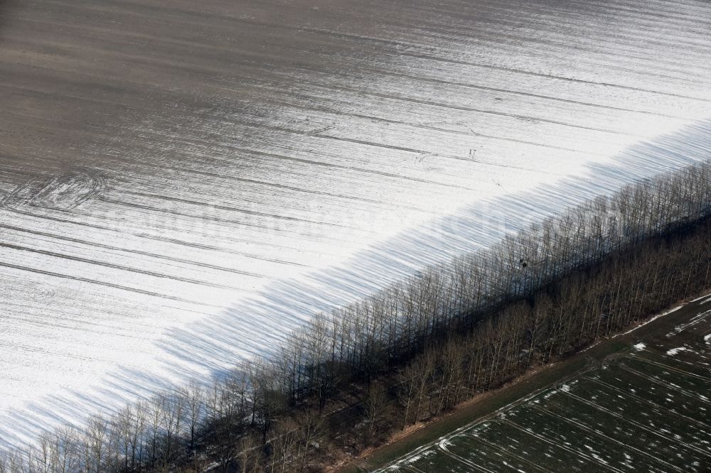 Aerial photograph Willmersdorf - Wintry snowy Row of trees on a country road on a field edge in Willmersdorf in the state Brandenburg