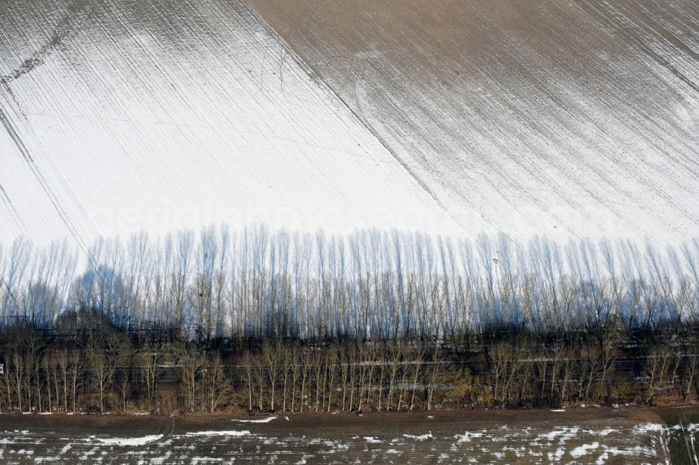 Willmersdorf from the bird's eye view: Wintry snowy Row of trees on a country road on a field edge in Willmersdorf in the state Brandenburg