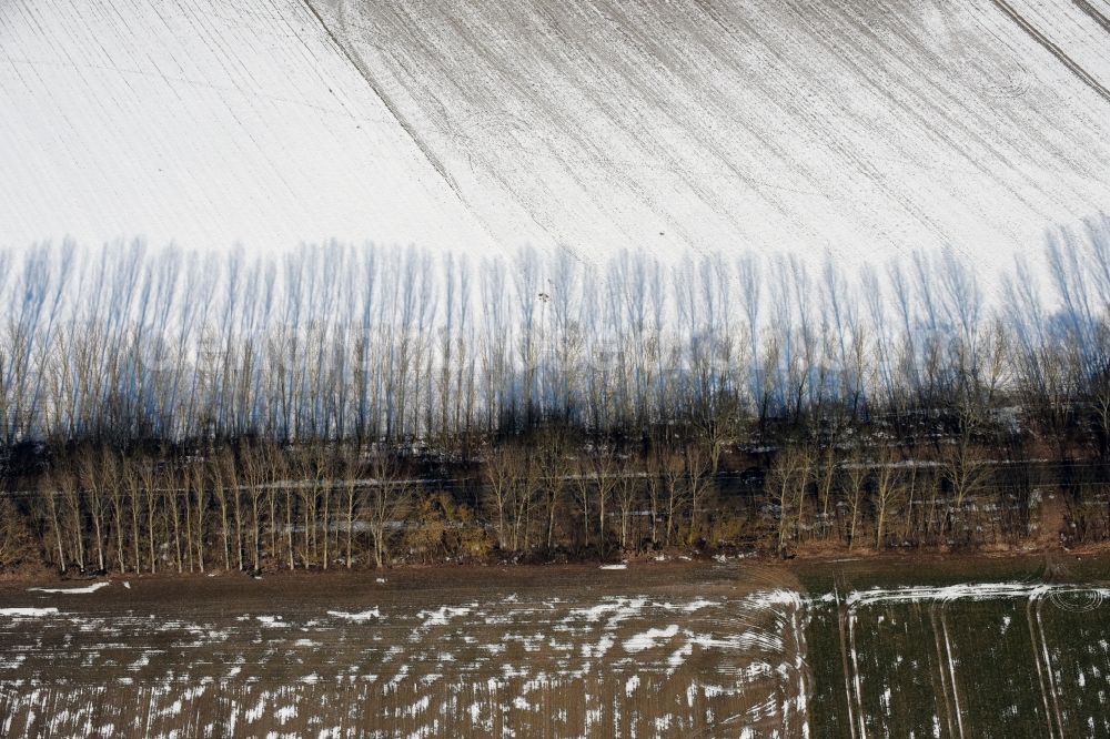 Aerial image Willmersdorf - Wintry snowy Row of trees on a country road on a field edge in Willmersdorf in the state Brandenburg