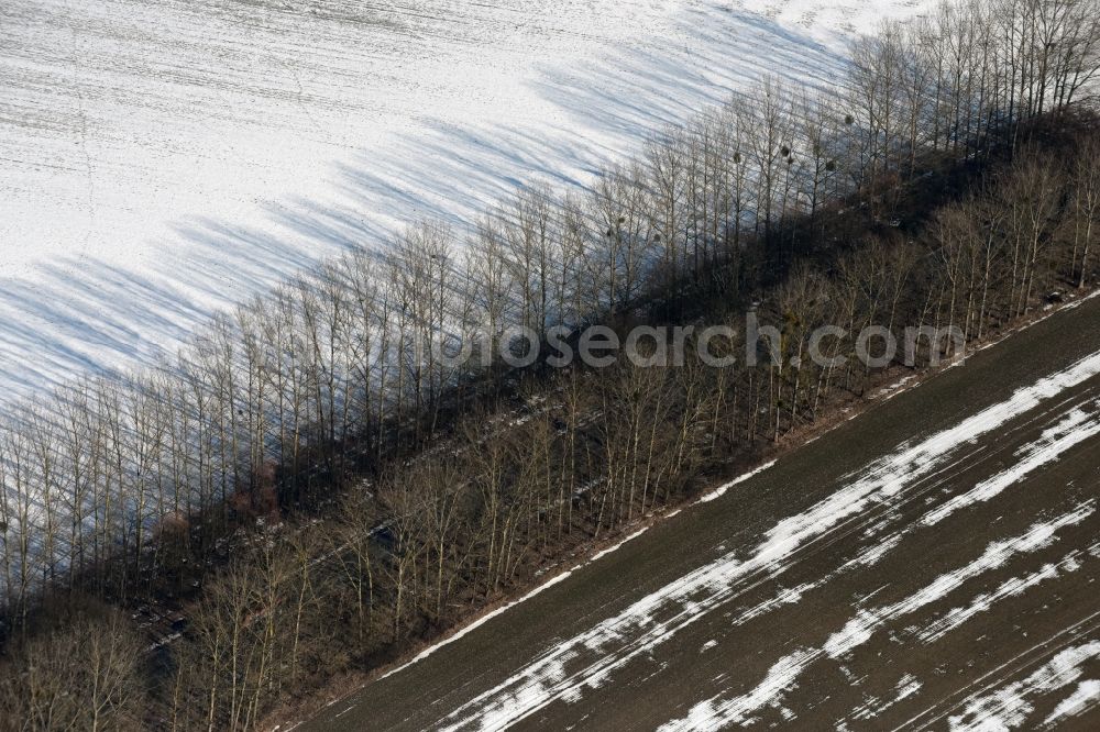 Aerial photograph Willmersdorf - Wintry snowy Row of trees on a country road on a field edge in Willmersdorf in the state Brandenburg