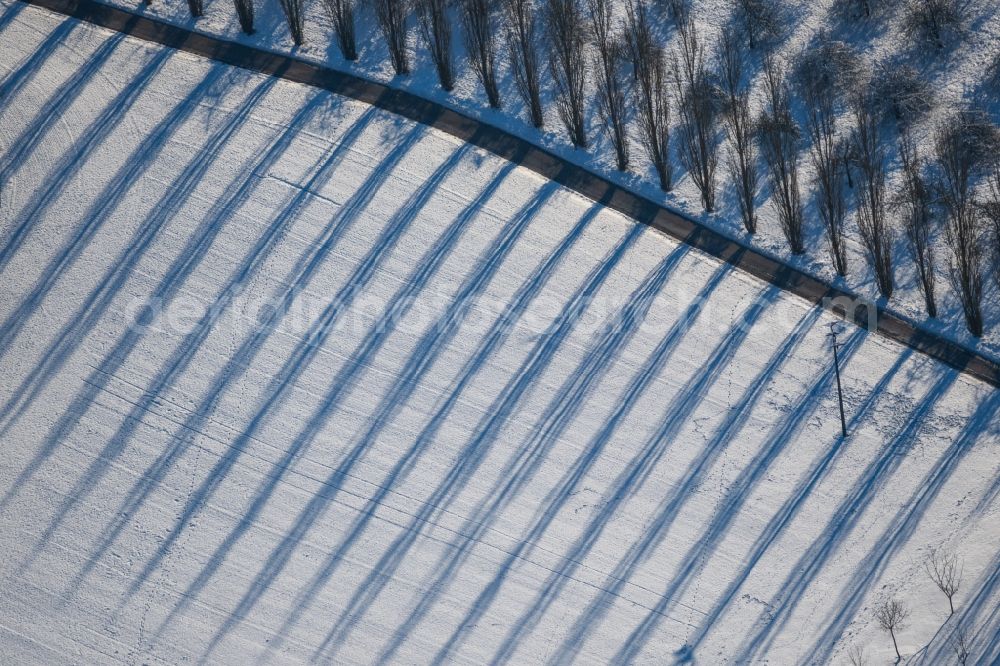 Aerial photograph Lauda-Königshofen - Wintry snowy tree with shadow forming by light irradiation on a field in Lauda-Koenigshofen in the state Baden-Wuerttemberg, Germany