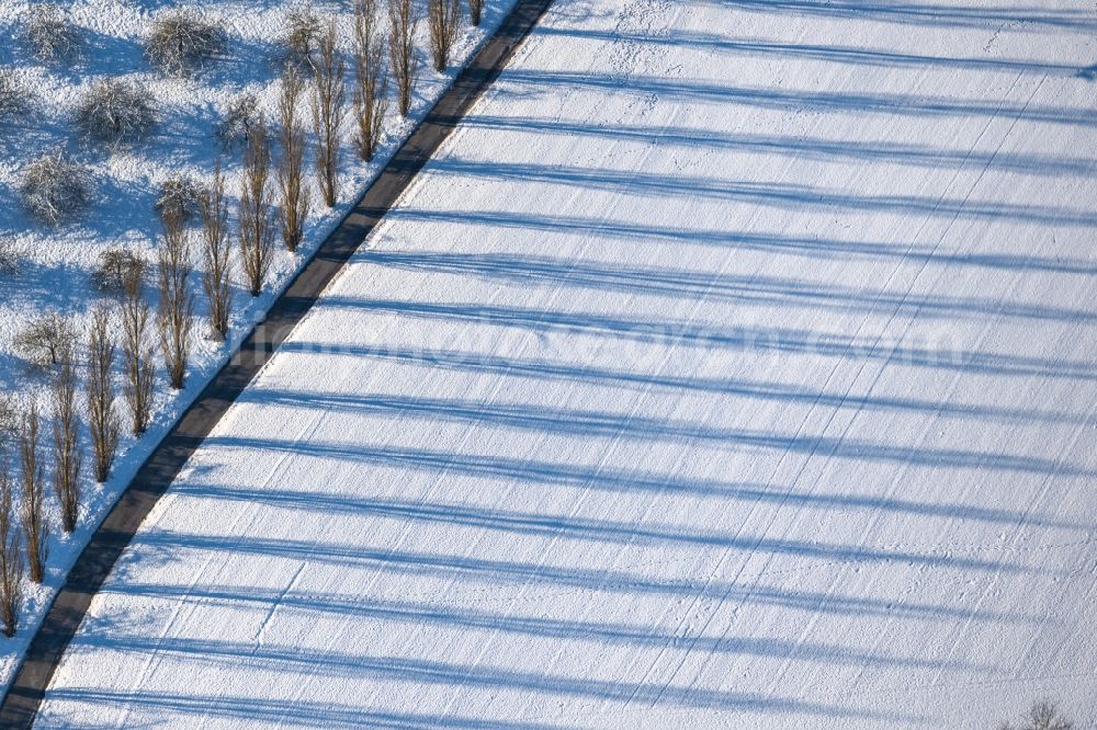 Lauda-Königshofen from the bird's eye view: Wintry snowy tree with shadow forming by light irradiation on a field in Lauda-Koenigshofen in the state Baden-Wuerttemberg, Germany