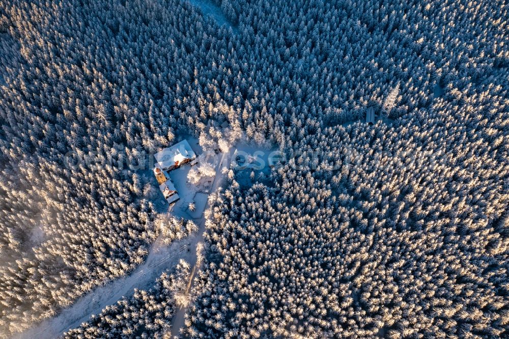 Smrzovka from above - Wintry snowy treetops in a wooded area Cerna Studnice in Smrzovka in Liberecky kraj, Czech Republic