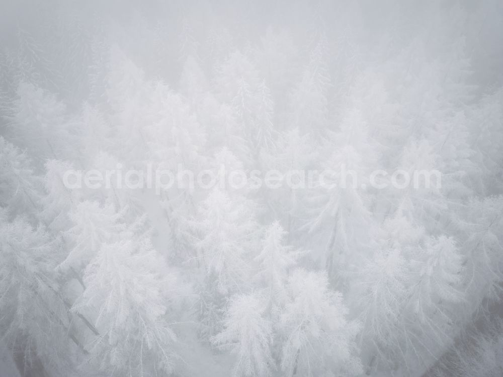 Aerial image Gelenau/Erzgeb. - Wintry snowy treetops in a wooded area in Gelenau/Erzgeb. in the Ore Mountains in the state Saxony, Germany