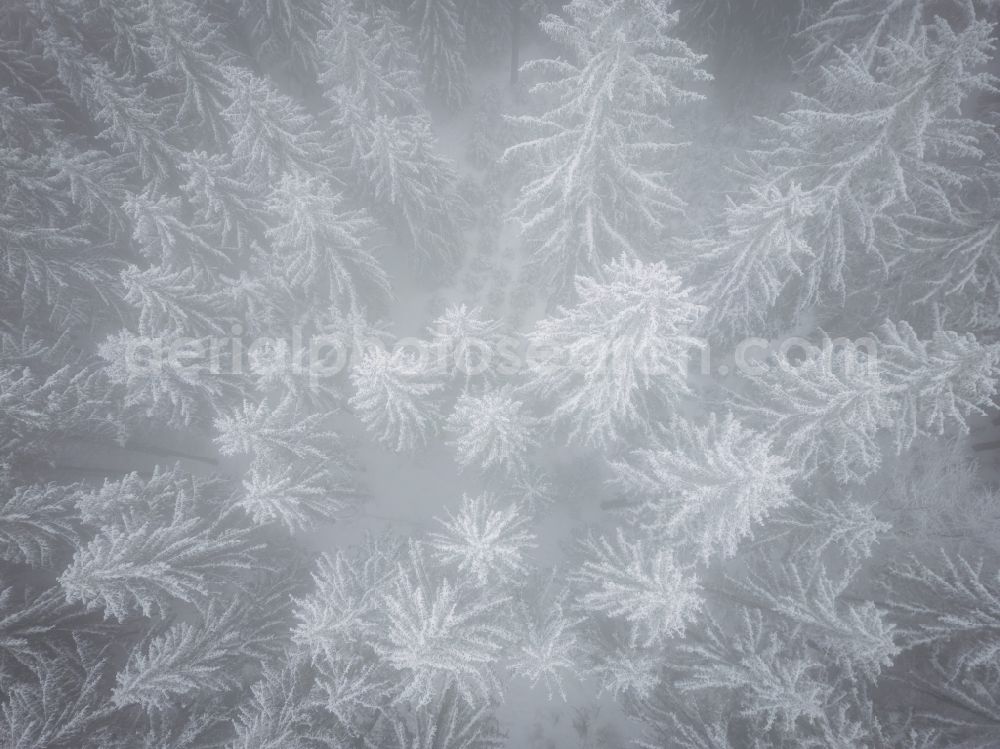 Aerial photograph Gelenau/Erzgeb. - Wintry snowy treetops in a wooded area in Gelenau/Erzgeb. in the Ore Mountains in the state Saxony, Germany