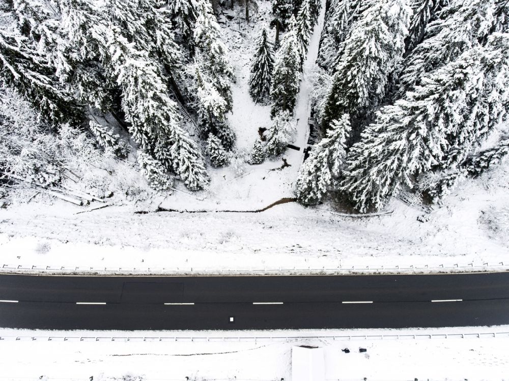 Aerial image Sankt Andreasberg - Wintry snowy treetops in a wooded area in Sankt Andreasberg in the state Lower Saxony, Germany