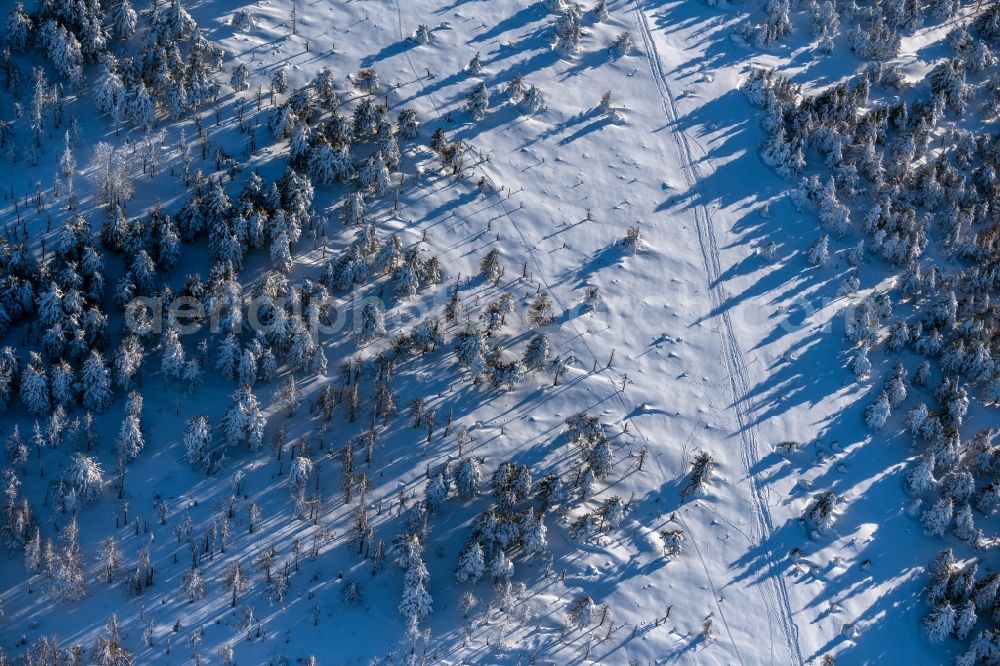 Aerial image Schierke - Wintry snowy treetops in a wooded area in Schierke in the Harz in the state Saxony-Anhalt, Germany