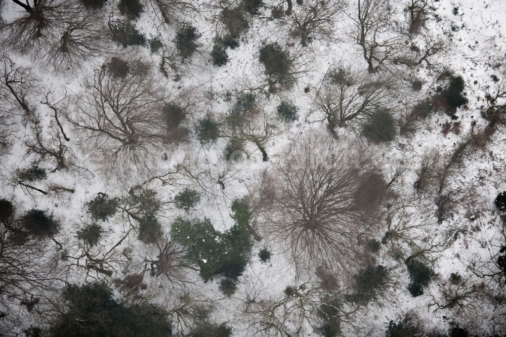 Wermelskirchen from the bird's eye view: Wintry snowy Treetops in a wooded area in Wermelskirchen in the state North Rhine-Westphalia, Germany