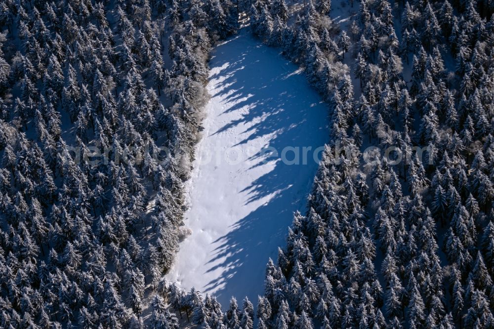 Burkardroth from above - Wintry snowy treetops in a wooded area with meadow and clearing in Burkardroth in the state Bavaria, Germany