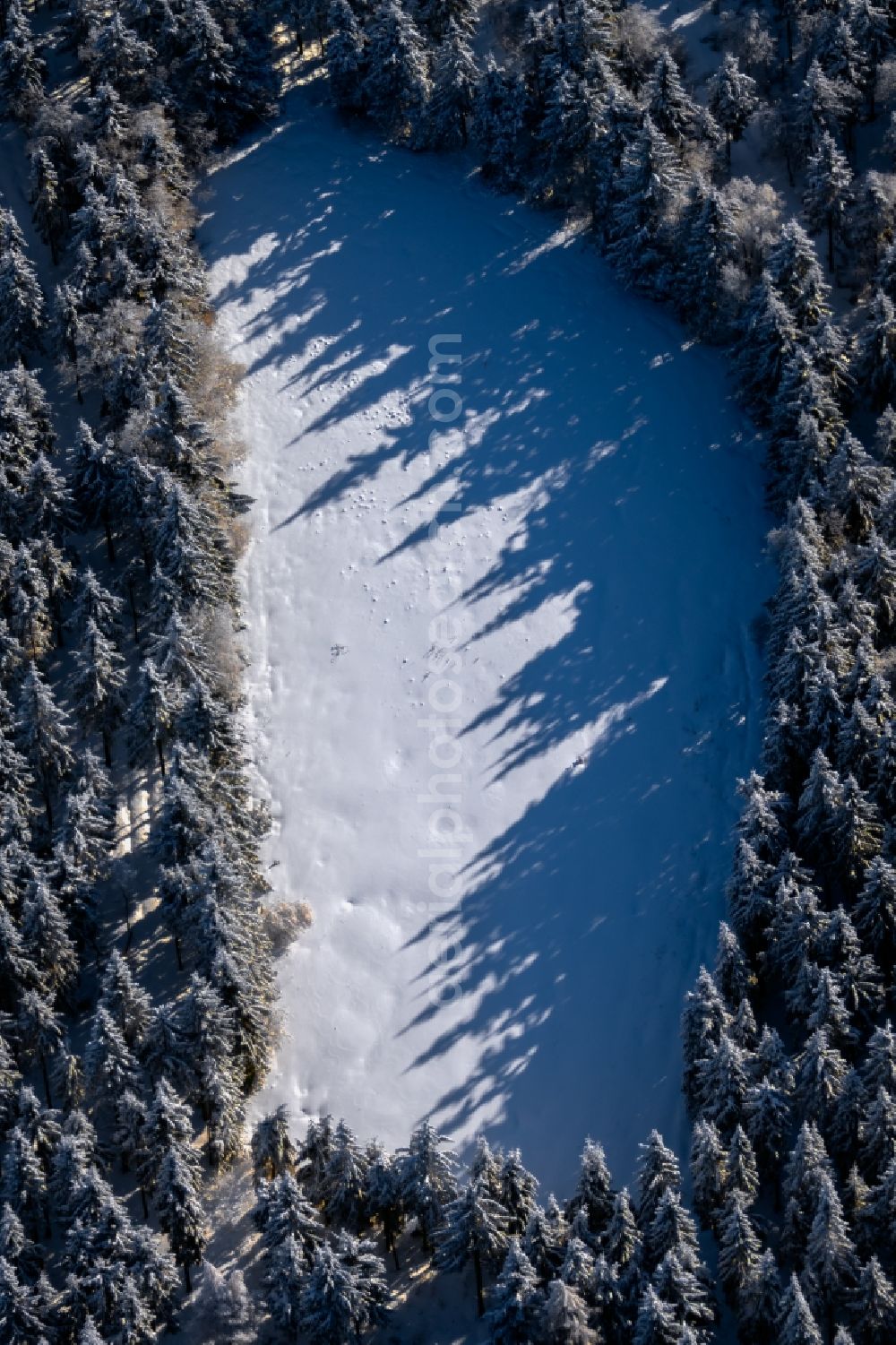 Burkardroth from the bird's eye view: Wintry snowy treetops in a wooded area with meadow and clearing in Burkardroth in the state Bavaria, Germany