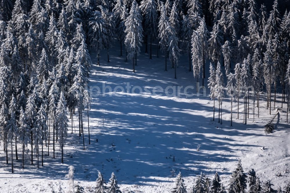 Aerial photograph Burkardroth - Wintry snowy treetops in a wooded area with meadow and clearing in Burkardroth in the state Bavaria, Germany