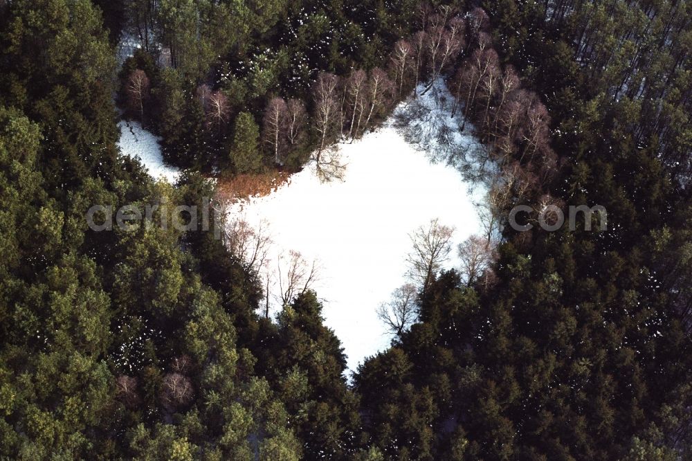 Grünheide (Mark) from the bird's eye view: Wintry snowy treetops and snowy surface in a wooded area in Gruenheide (Mark) in the state Brandenburg, Germany