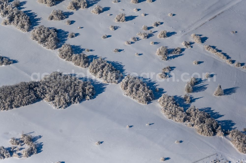 Oberweißenbrunn from the bird's eye view: Wintry snowy trees with shadow forming by light irradiation on a field in Oberweissenbrunn in the state Bavaria, Germany