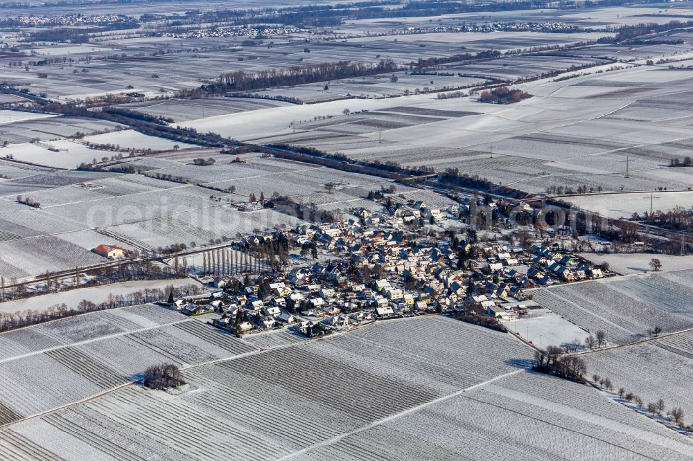 Knöringen from above - Wintry snowy village - view on the edge of agricultural fields and farmland in Knoeringen in the state Rhineland-Palatinate, Germany