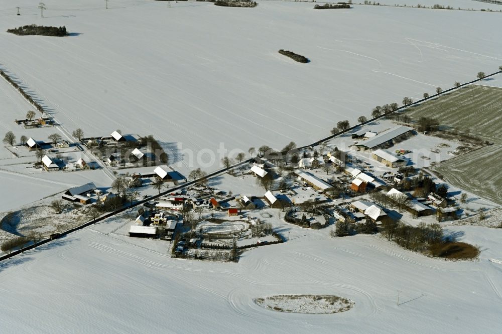 Wüstenfelde from the bird's eye view: Wintry snowy agricultural land and field boundaries surround the settlement area of the village in Wuestenfelde in the state Mecklenburg - Western Pomerania, Germany