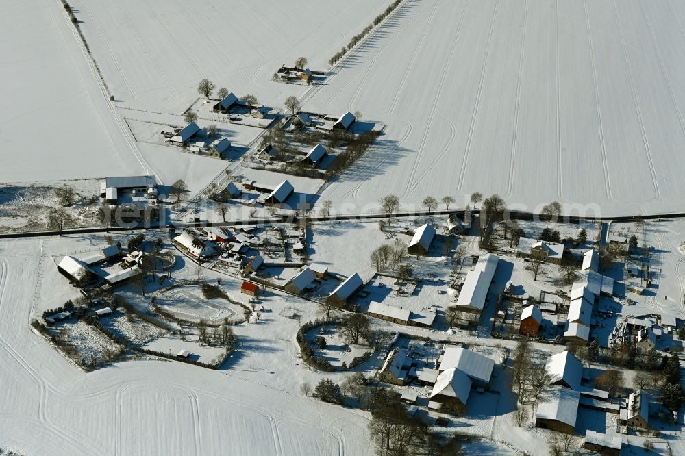 Aerial photograph Wüstenfelde - Wintry snowy agricultural land and field boundaries surround the settlement area of the village in Wuestenfelde in the state Mecklenburg - Western Pomerania, Germany