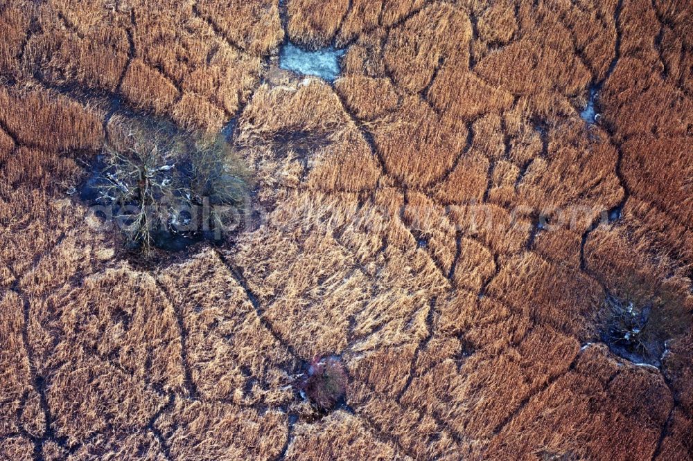 Aerial photograph Küstriner Vorland - Wintry snowy Agricultural fields embossed of soil erosion and ice and snow structures at Kuestriner Vorland in the state Brandenburg, Germany