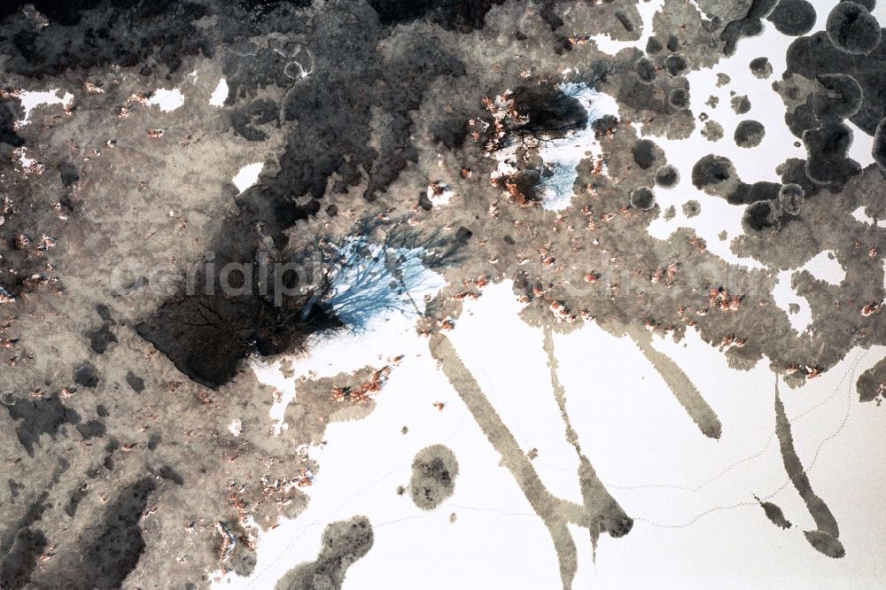 Aerial image Buckow (Märkische Schweiz) - Wintry snowy ice surface cracks and tracks for fish farming Buckowsee in Buckow (Maerkische Schweiz) in the state Brandenburg, Germany