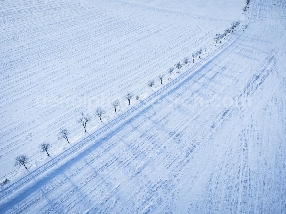 Altenberg from the bird's eye view: Winter snow-covered fields with row of trees near Liebenau in Altenberg in the state of Saxony, Germany