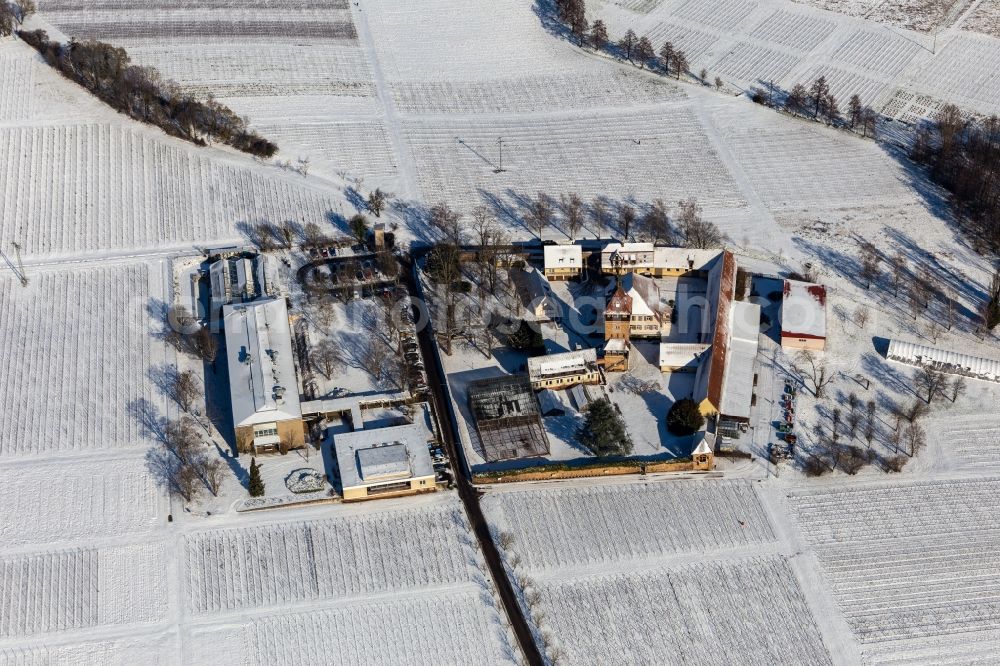 Siebeldingen from above - Wintry snowy building complex of the Institute Julius Kuehn Rebforschungsanstalt Geilweilerhof mit bluehenden Mandelbaeumen in Siebeldingen in the state Rhineland-Palatinate, Germany