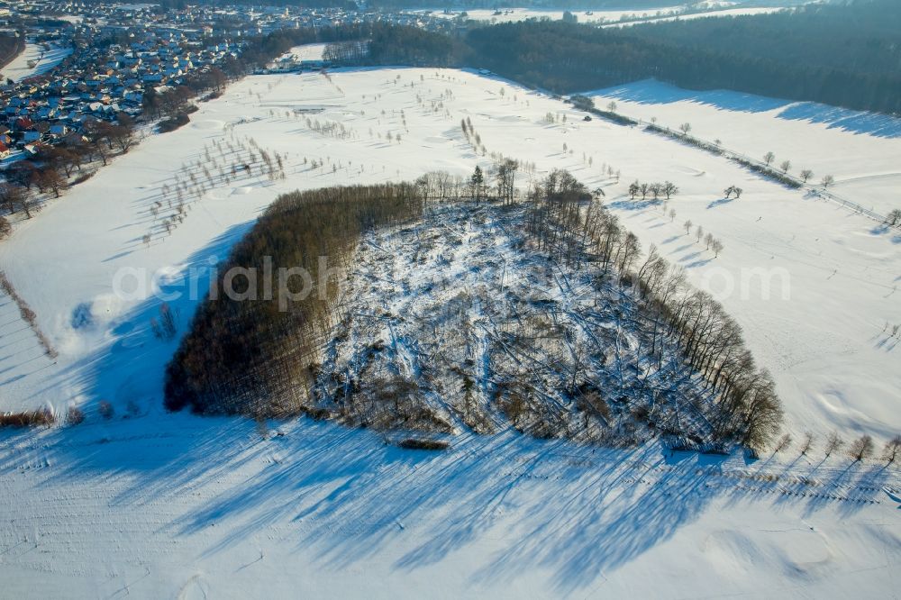 Marsberg from above - Wintry snowy felled tree trunks in a forest area in the district Westheim in Marsberg in the state North Rhine-Westphalia