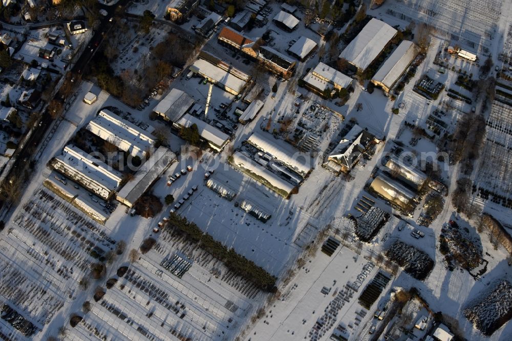 Berlin from the bird's eye view: Wintry snowy autumnal area of the Spaethsche arboretum at the Spaethstrasse in the district Baumschulenweg of Berlin