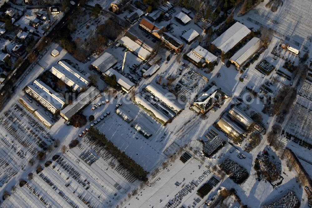 Aerial image Berlin - Wintry snowy autumnal area of the Spaethsche arboretum at the Spaethstrasse in the district Baumschulenweg of Berlin