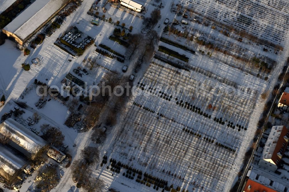 Berlin from above - Wintry snowy autumnal area of the Spaethsche arboretum at the Spaethstrasse in the district Baumschulenweg of Berlin