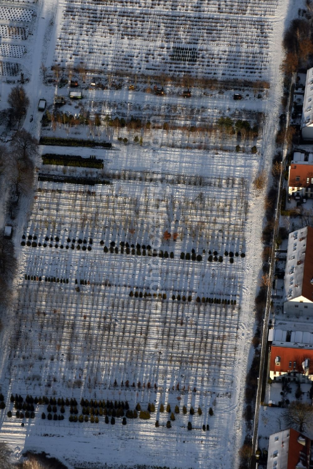 Berlin from the bird's eye view: Wintry snowy autumnal area of the Spaethsche arboretum at the Spaethstrasse in the district Baumschulenweg of Berlin