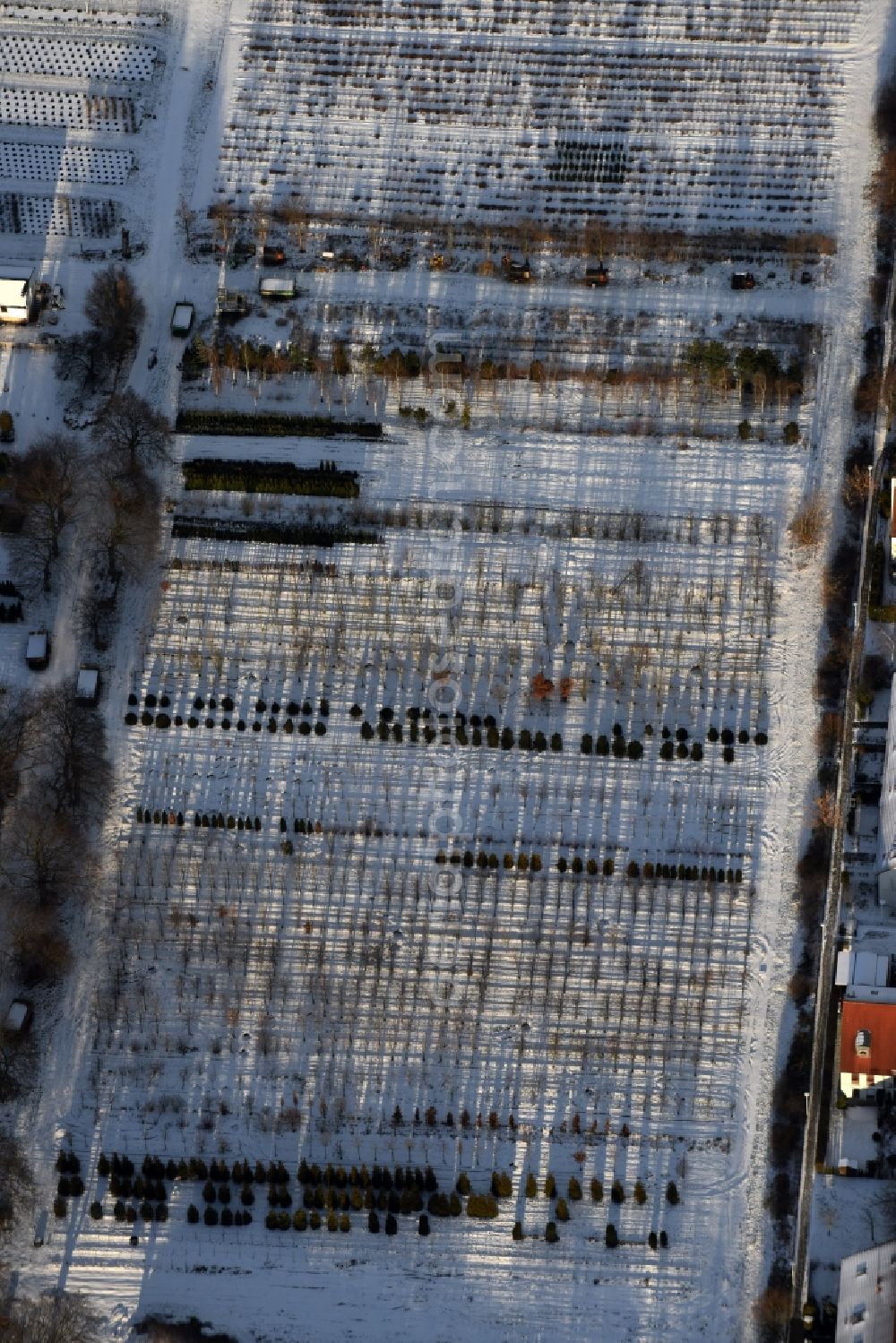 Aerial image Berlin - Wintry snowy autumnal area of the Spaethsche arboretum at the Spaethstrasse in the district Baumschulenweg of Berlin