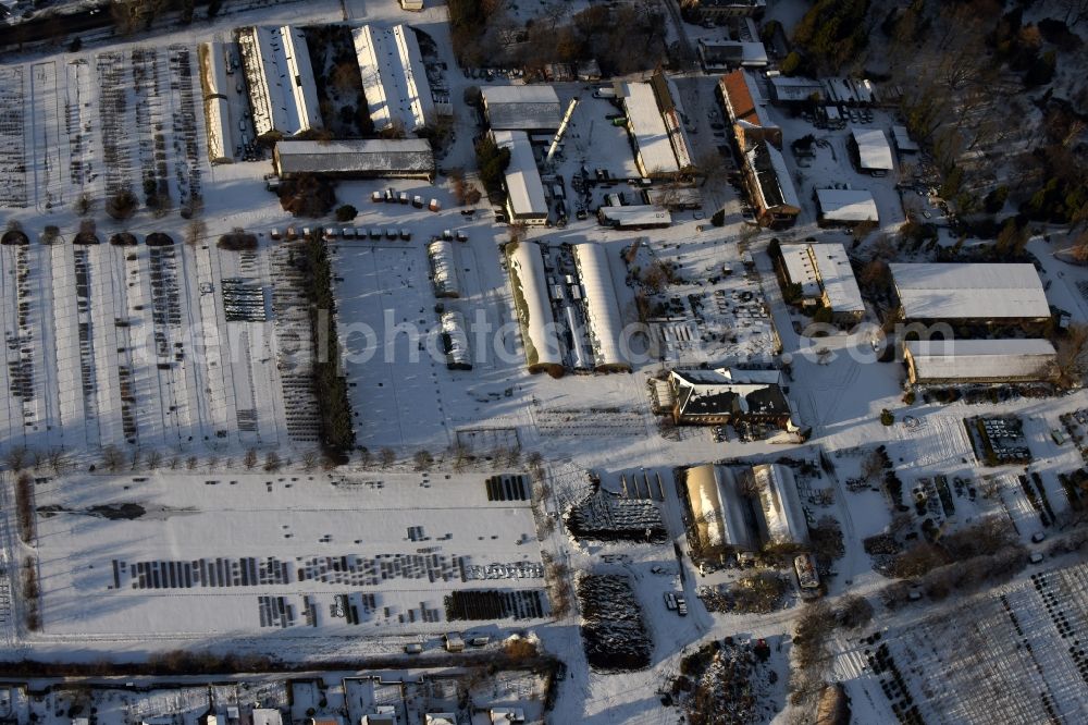 Aerial photograph Berlin - Wintry snowy autumnal area of the Spaethsche arboretum at the Spaethstrasse in the district Baumschulenweg of Berlin