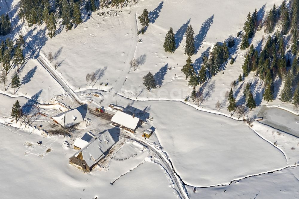 Aerial photograph Feldberg (Schwarzwald) - Wintry snowy rocky and mountainous landscape in Feldberg (Schwarzwald) at Schwarzwald in the state Baden-Wuerttemberg, Germany