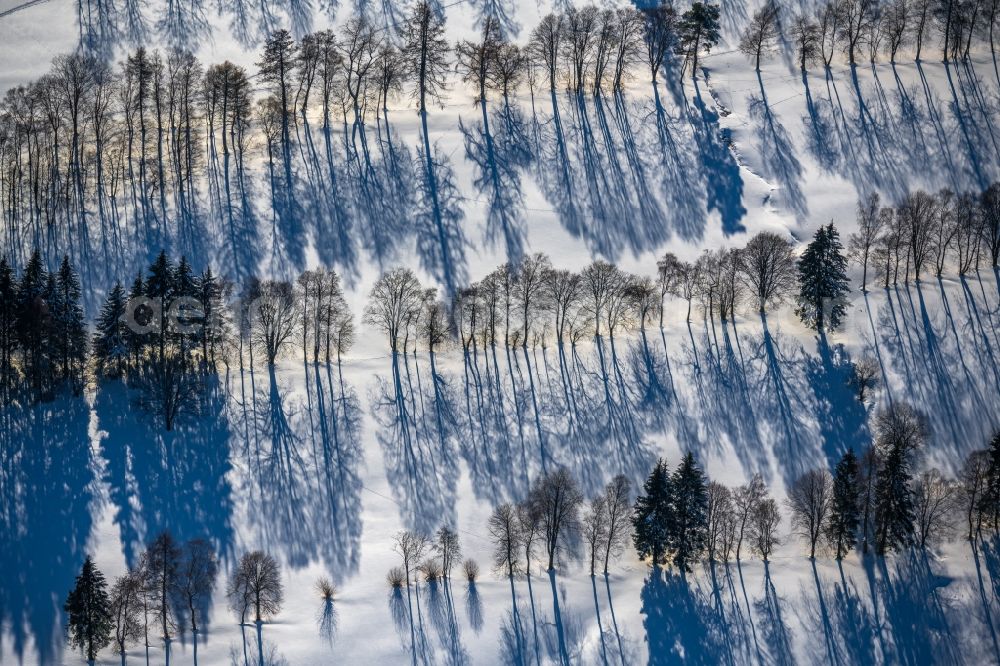 Winterberg from the bird's eye view: Wintry snowy grounds of the Golf course at of Golfclub Winterberg e.V. in Winterberg on Sauerland in the state North Rhine-Westphalia, Germany