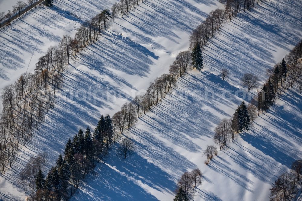 Aerial photograph Winterberg - Wintry snowy grounds of the Golf course at of Golfclub Winterberg e.V. in Winterberg on Sauerland in the state North Rhine-Westphalia, Germany