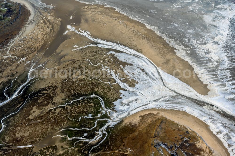 Aerial photograph Nigehörn - Wintry snowy coastal area of the North Sea - Island in Scharhoern in the state Hamburg