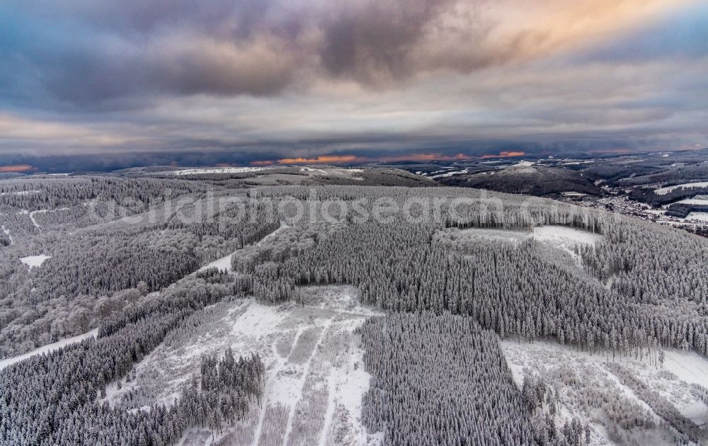 Wiemeringhausen from the bird's eye view: Wintry snowy treetops in a forest area in Wiemeringhausen in the state North Rhine-Westphalia, Germany